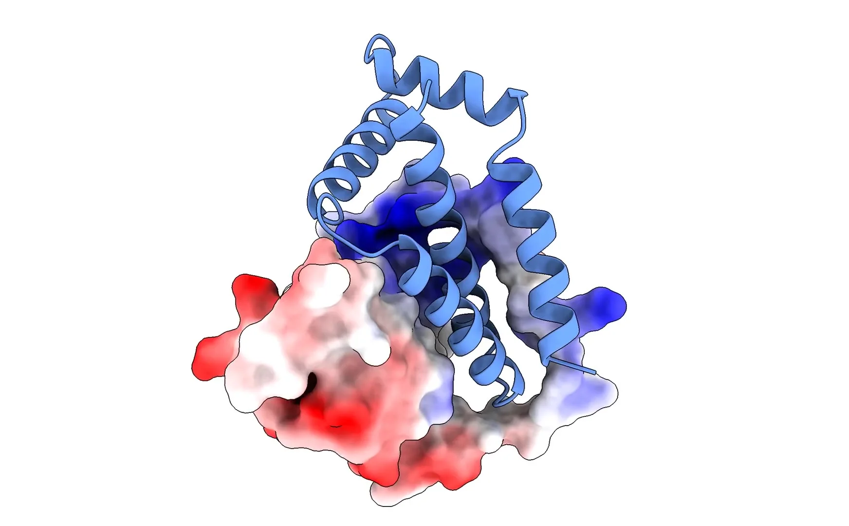 Protein structure illustration